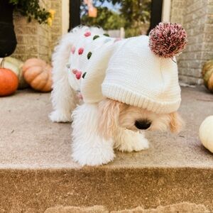 Dog/Puppy Pom Pom Sweater Sz Small
